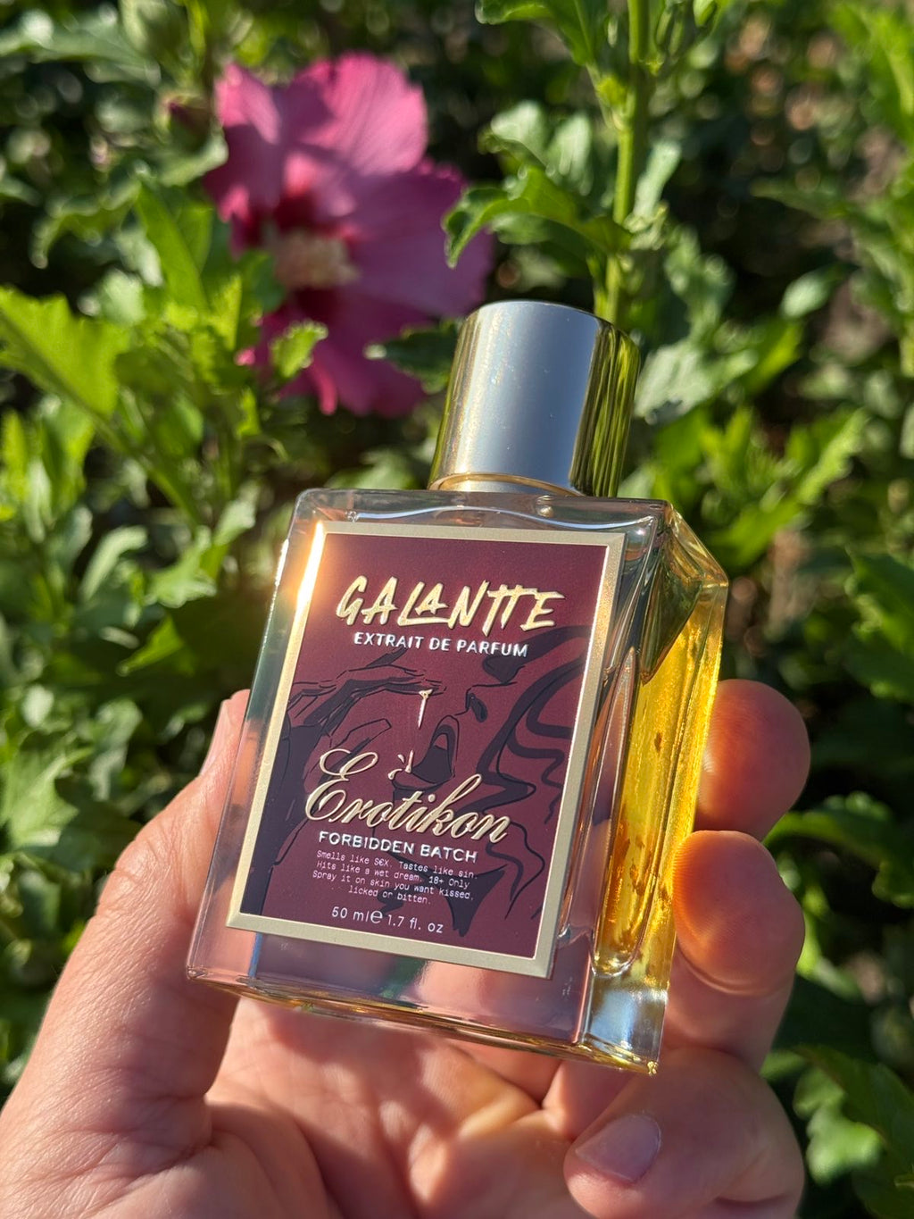 EROTIKON by GALANTTE - Image 4
